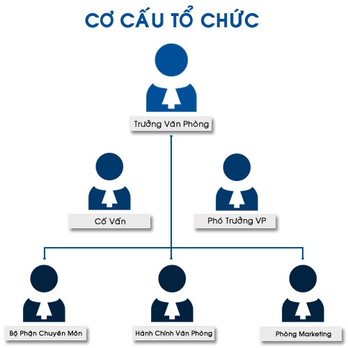 co cau to chuc